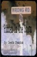Hidden In The Storm $10.00 plus $ 3.00 shipping & handling 